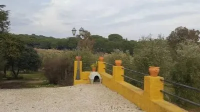 Chalet in Andújar photo 24