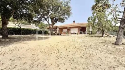 Chalet en Palafolls photo 42