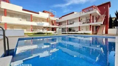 Piso en Isla de Canela photo 7