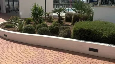 Apartment in Las Adelfas-Benicolada-Garduix photo 13