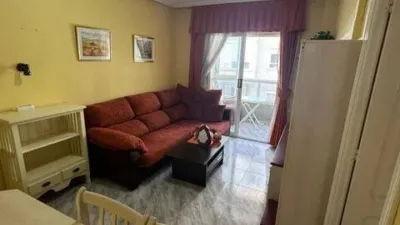 Apartment on San Pascual Street photo 8