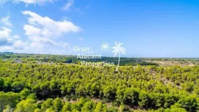 Piso en Gran Alacant photo 55