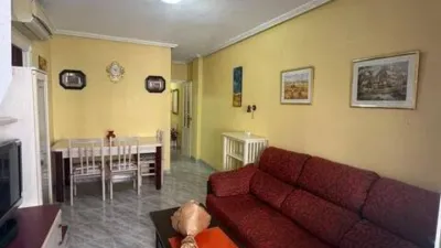 Apartment on San Pascual Street photo 5