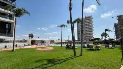 Apartment in Las Adelfas-Benicolada-Garduix photo 9