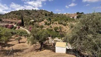 Rustic House in Monda photo 11