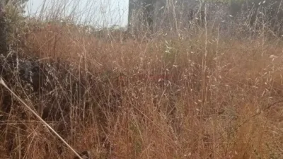 Rustic house in Taboadela photo 8