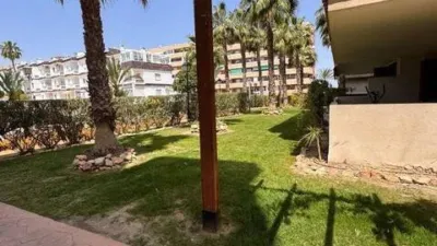 Apartment on Avenida de las Olas photo 34