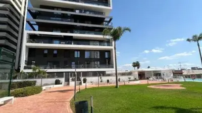 Apartment in Las Adelfas-Benicolada-Garduix photo 4