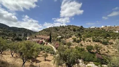 Rustic House in Monda photo 9