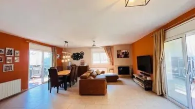 Chalet in Olivella photo 8
