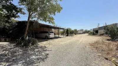 Piso – Villena, l'Alt Vinalopó / El Alto Vinalopó - Más