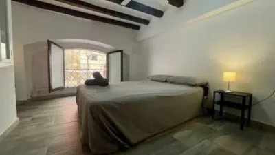 Apartment on Carrer d'En Granada photo 11