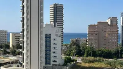 Apartment in Las Adelfas-Benicolada-Garduix photo 6