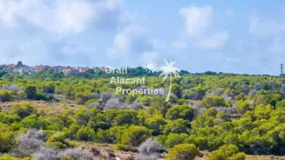 Piso en Gran Alacant photo 60