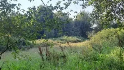 Terreno en venta en Calle Calle Bosque Animado Nn - Más