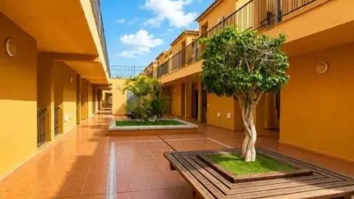 Apartment on Calle Eneas photo 36
