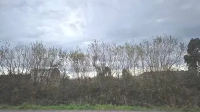 Terreno en venta en El Feal-Xuvia - Vista 5