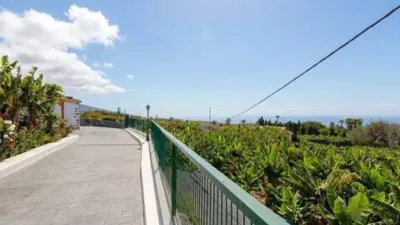 Chalet in La Orotava photo 39