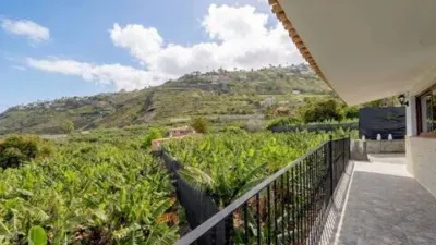Chalet in La Orotava photo 26