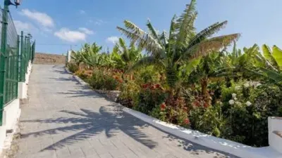 Chalet in La Orotava photo 20
