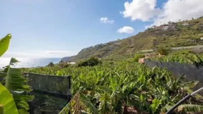 Chalet in La Orotava photo 41