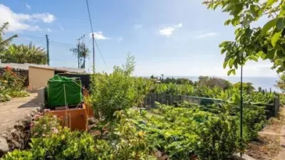 Chalet in La Orotava photo 19