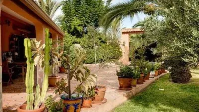 Casa – Torrevieja - Vista 4