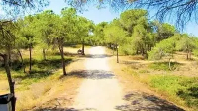 Chalet in Orihuela photo 53
