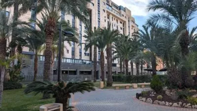 Apartment in Playa de San Juan photo 51