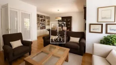 Semi-detached house in El Secar de la Real photo 7