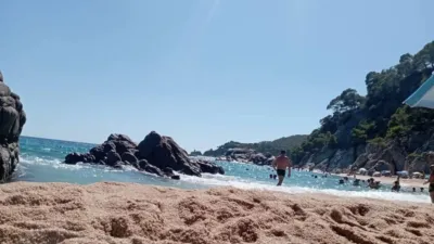 Apartment in Lloret de Mar photo 29