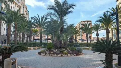 Apartment in Playa de San Juan photo 50