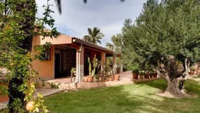 Casa – Torrevieja - Vista 3