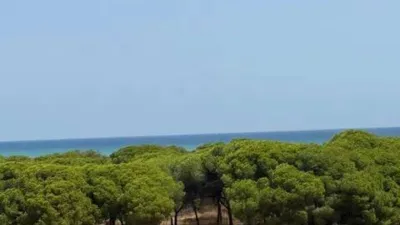 Chalet in Orihuela photo 55