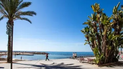 Piso en Playa del Cura photo 27
