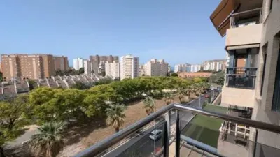 Apartment in Playa de San Juan photo 12