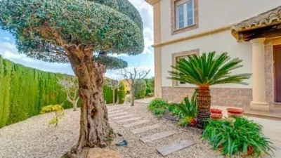 Chalet on Carrer Illa de Tenerife photo 47