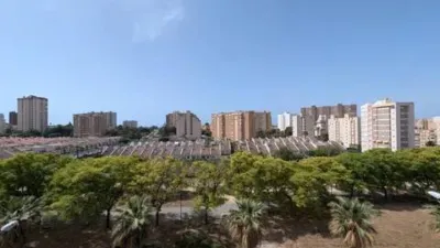 Apartment in Playa de San Juan photo 11