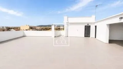 Chalet in Palma de Mallorca photo 26