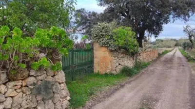 Chalet in Algaida photo 2