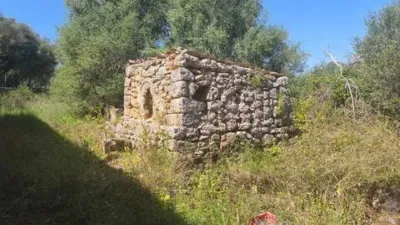 Casa en Algaida photo 6