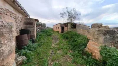 Chalet in Algaida photo 21