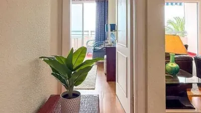 Apartment in Camino del Burgado photo 20