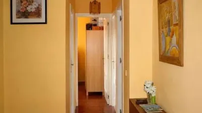 Apartment in Seville City Centre photo 9