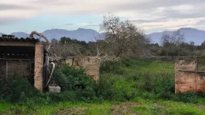 Chalet in Algaida photo 18