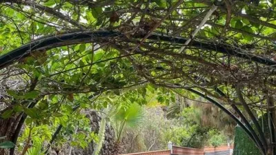 Chalet en Santiago del Teide photo 65