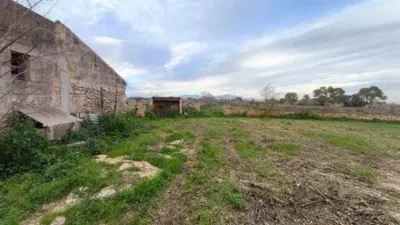 Chalet in Algaida photo 19