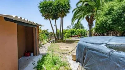Rustic house on La Florita Street photo 34