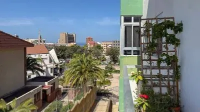 Apartment on Calle Forjador photo 23
