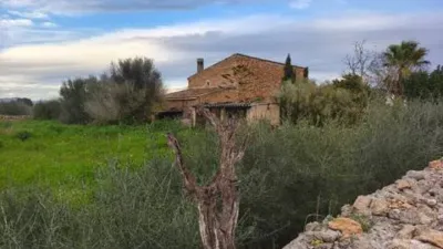 Chalet in Algaida photo 24